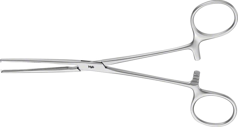 ALLEN Intestinal Clamp, straight, 155 mm (6 1/ | B. Braun