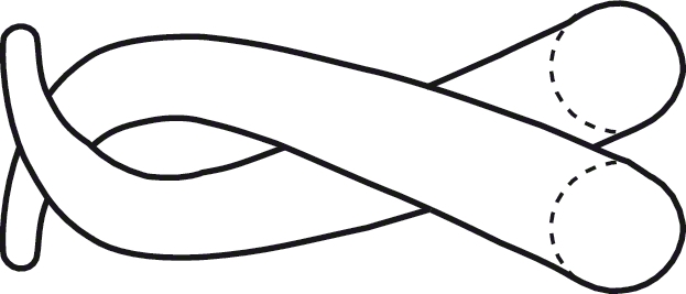 LINE DRAWING BV033R-Aesculap Article Picture (Media Manager)