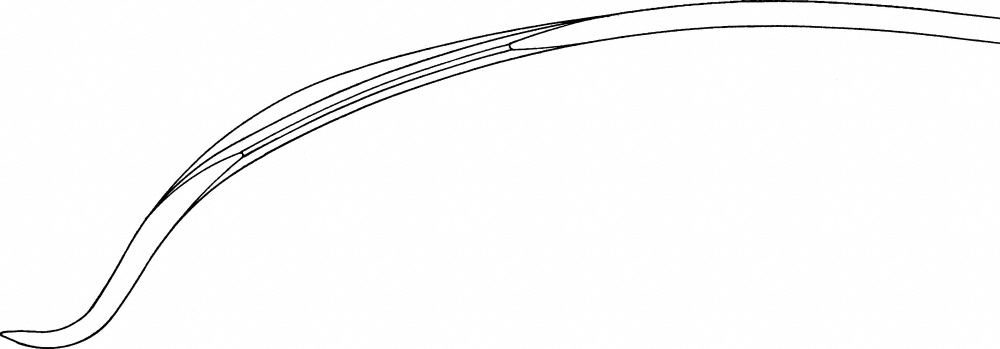 LINE DRAWING FK168R-Aesculap Article Picture (Media Manager)