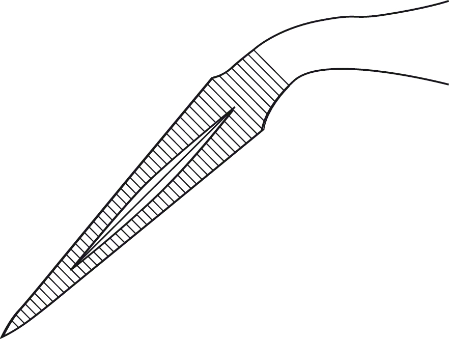 STIEGLITZ Splinter Forceps, angled on flat, 14 | B. Braun