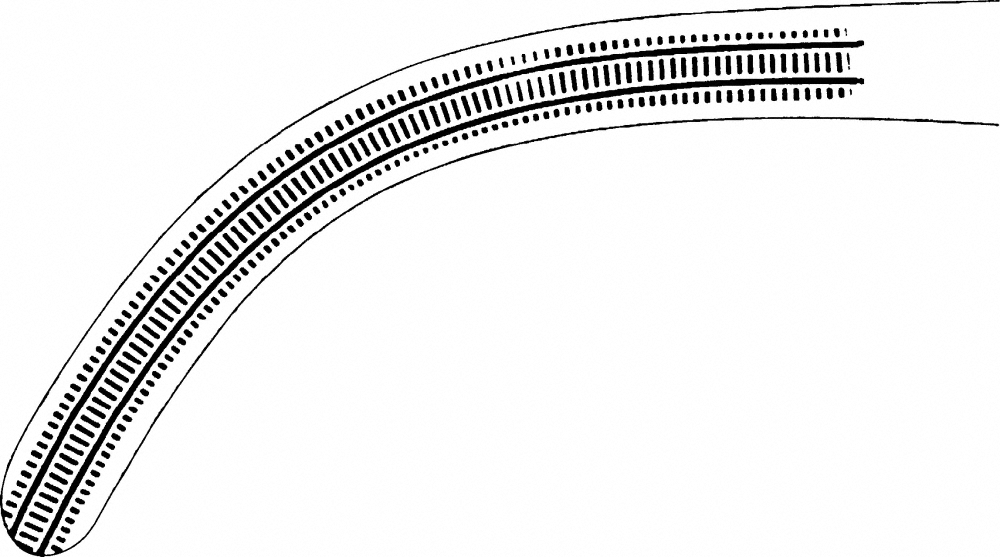 LINE DRAWING BJ552R-Aesculap Article Picture (Media Manager)