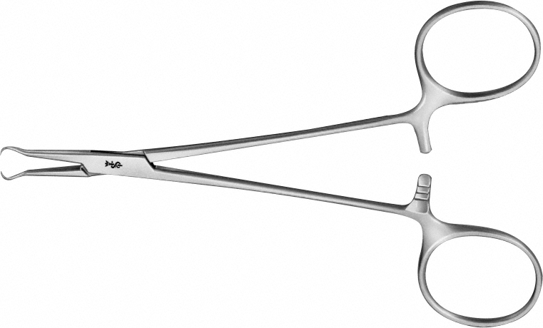 Ring Forceps, straight, 125 mm (5