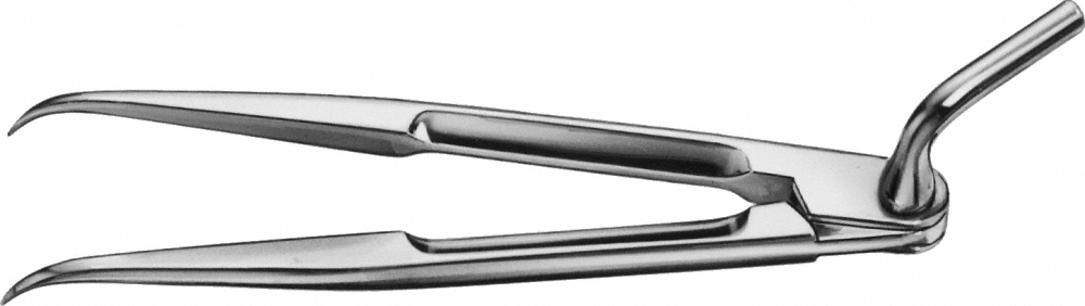 ZIELINSKY Caliper | B. Braun