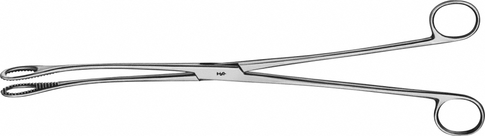 HAUPTBILD BF135R, FM-585-01-A-Aesculap Article Picture (Media Manager)