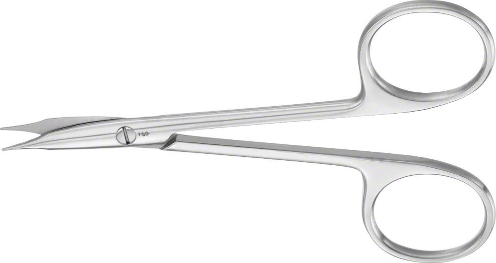 STEVENS Dissecting Scissors (Tenotomy Scissors | B. Braun