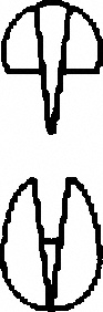 LINE DRAWING BH217R-Aesculap Article Picture (Media Manager)